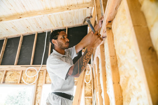 Best Insulation Replacement Services  in Legend Lake, WI