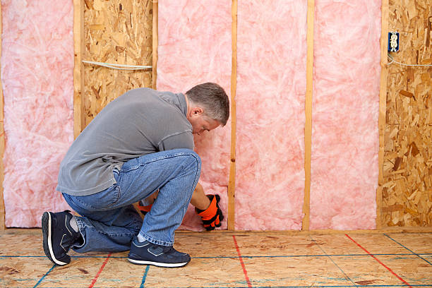 Best Home Insulation Services  in Legend Lake, WI