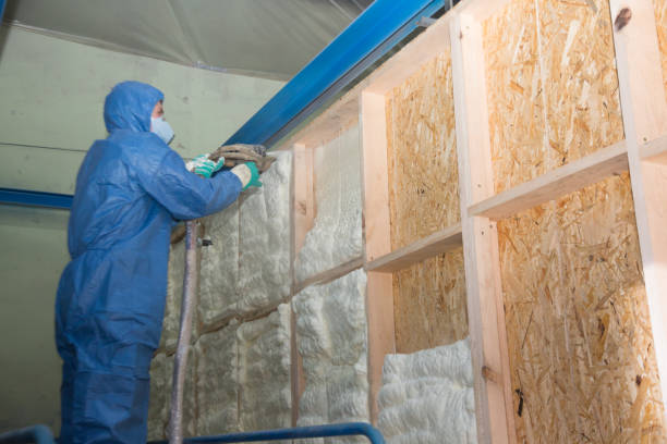 Best Spray Foam Insulation  in Legend Lake, WI