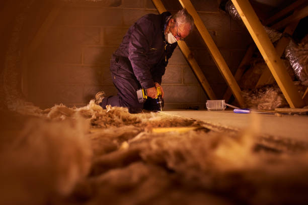 Best Professional Insulation Contractor  in Legend Lake, WI