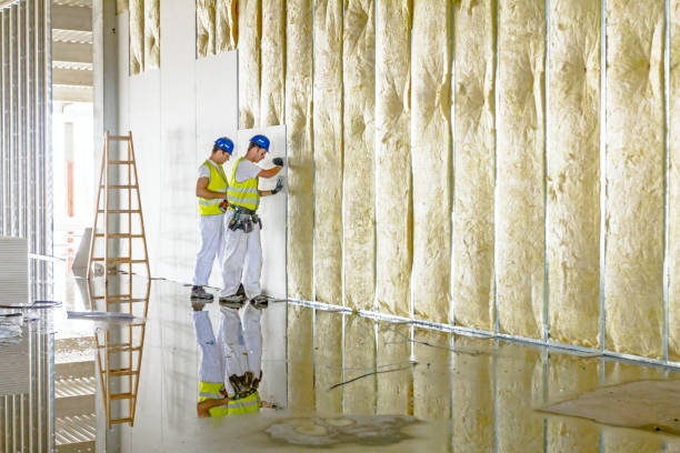 Best Fiberglass Insulation  in Legend Lake, WI